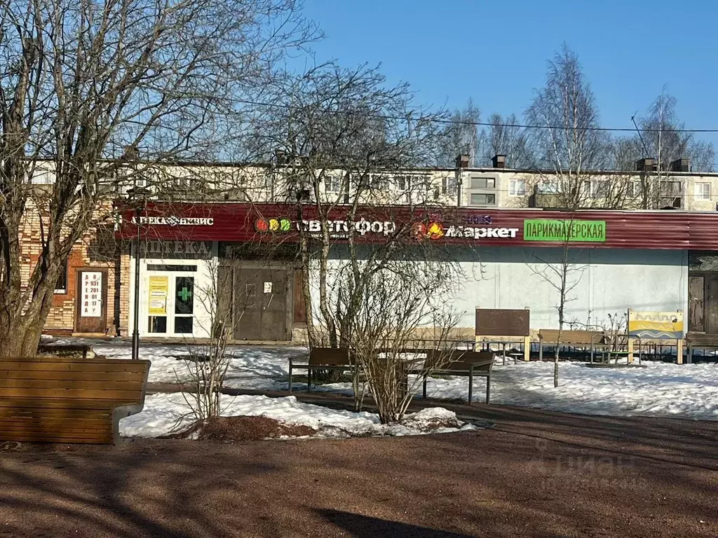 Помещение свободного назначения в Ленинградская область, Выборгский ... - Фото 1