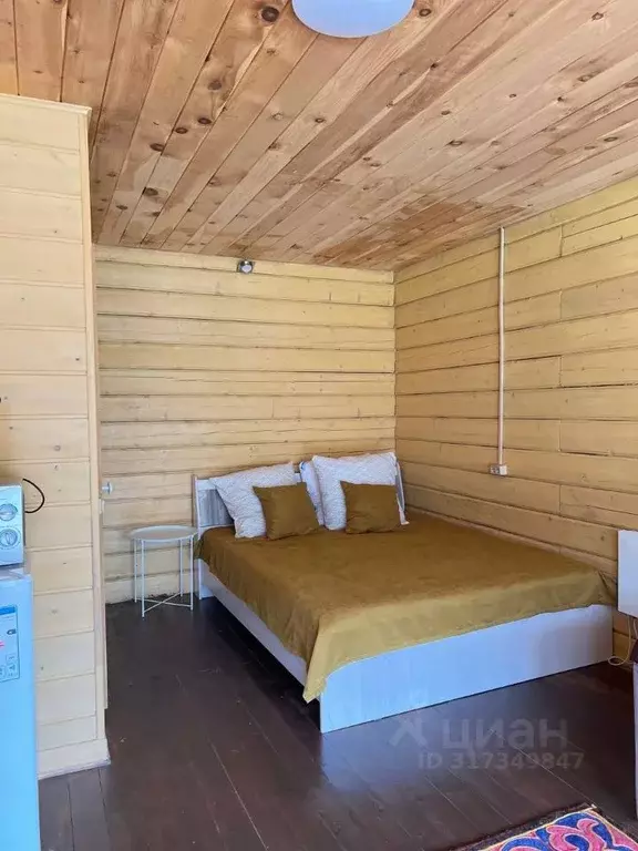 Дом в Алтай, Майминский район, Соузгинское с/пос, Катунь ДНП 24 (25 м) - Фото 0