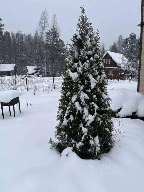 Дом в Ленинградская область, Приозерский район, Ромашкинское с/пос, ... - Фото 1