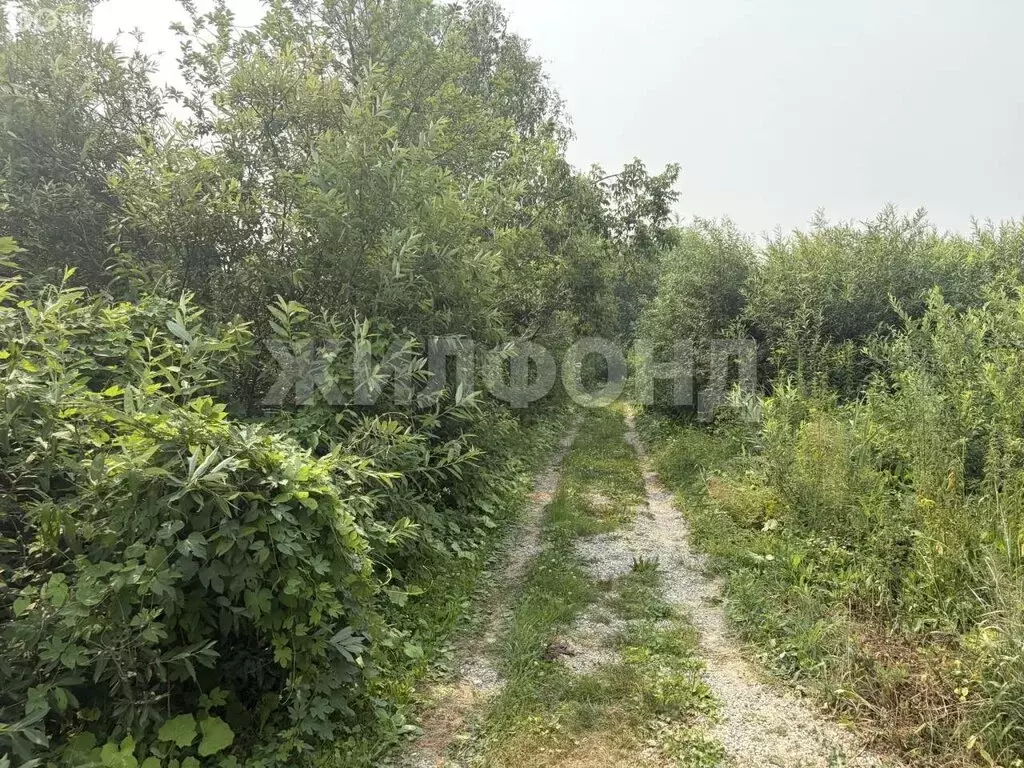 Участок в Новосибирск, Ленинский район (11.9 м) - Фото 2