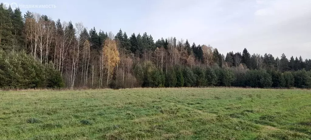 Участок в Московская область, городской округ Клин, рабочий посёлок ... - Фото 0