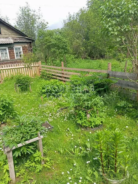 Дом в Опеченское сельское поселение, деревня Дерева, 23 (51.4 м) - Фото 2