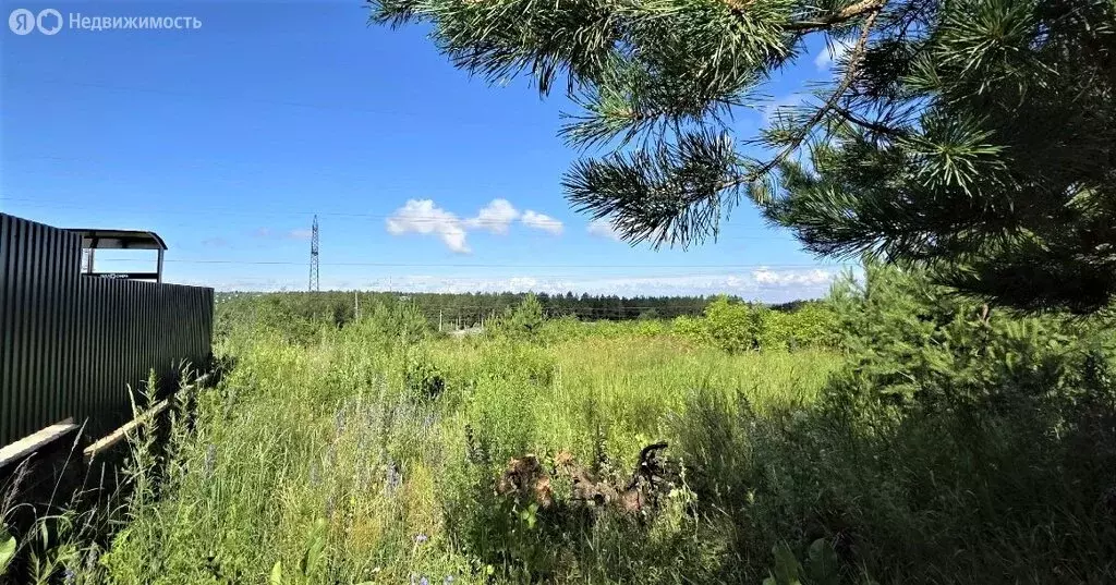 Участок в Чайковский, улица Назарова, 63 (14 м) - Фото 2