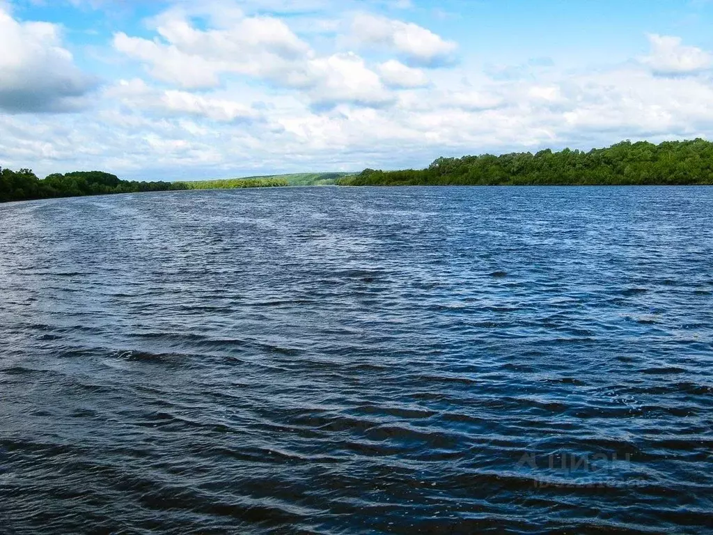 Участок в Тульская область, Ясногорский район, Иваньковское с/пос, д. ... - Фото 1