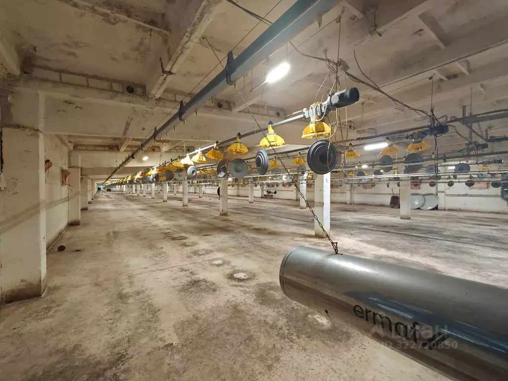 Склад в Ленинградская область, Ломоносовский район, Русско-Высоцкое ... - Фото 2