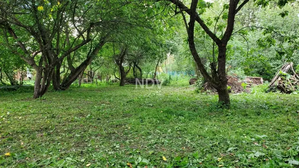 Участок в Москва Щербинка СНТ, 72 (8.0 сот.) - Фото 1