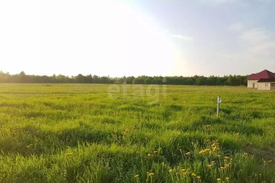 Участок в Оренбургская область, Оренбург ул. Утренняя (15.0 сот.) - Фото 0