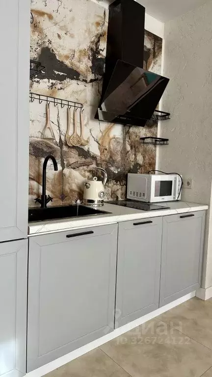 1-к кв. Краснодарский край, Сочи Лысая Гора садоводческое ... - Фото 2