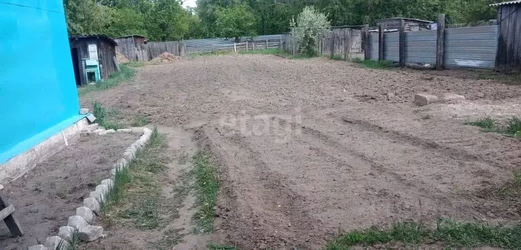 Дом в Амурская область, Константиновский район, с. Новопетровка ... - Фото 0