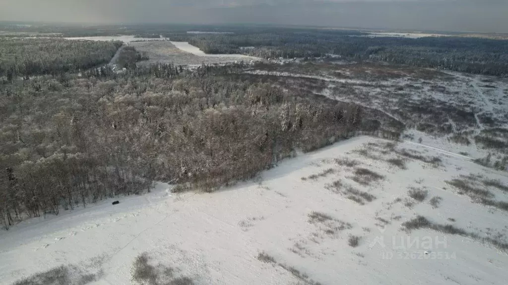 Участок в Московская область, Рузский муниципальный округ, пос. Старая ... - Фото 2