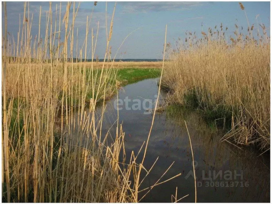 Участок в Костромская область, Красносельский район, Прискоковское ... - Фото 1