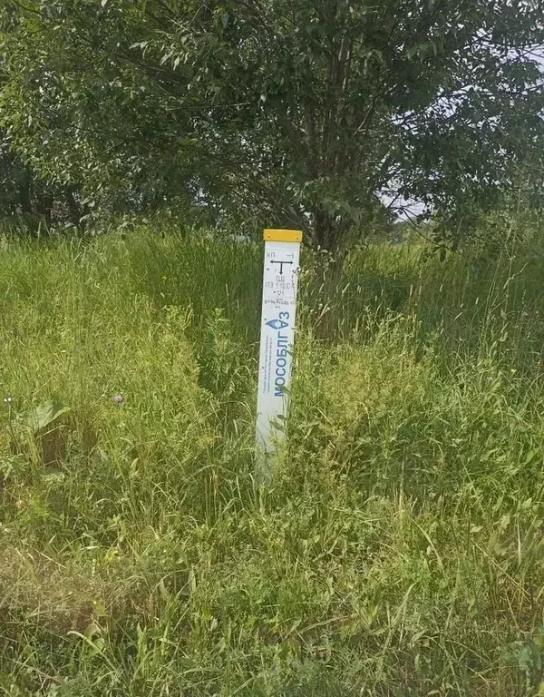 Участок в Московская область, Наро-Фоминский городской округ, д. ... - Фото 2