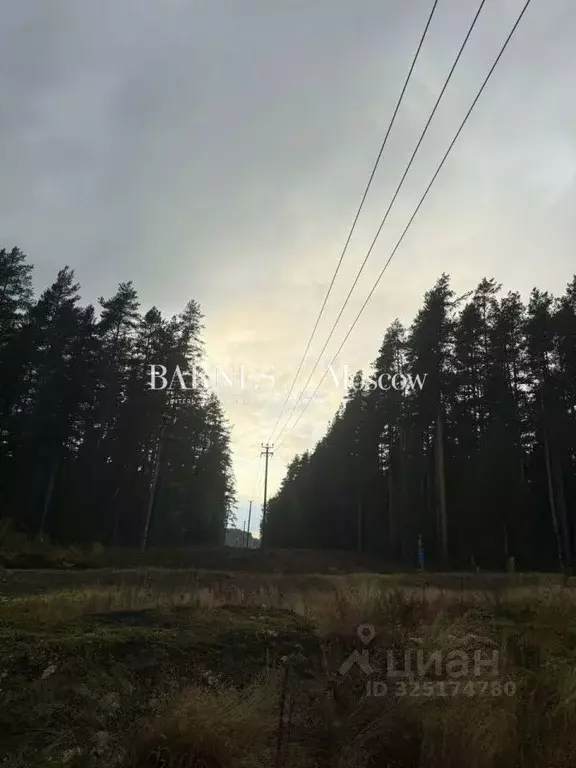 Участок в Ленинградская область, Выборгский район, Рощинское городское ... - Фото 2