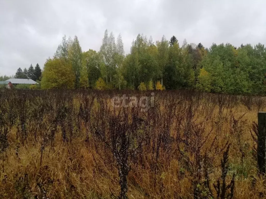 Участок в Вологодская область, д. Порошино  (12.13 сот.) - Фото 1