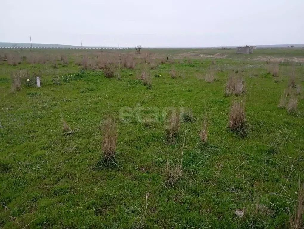 Участок в Крым, Ленинский район, Батальненское с/пос, Нептун СНТ  (8.0 ... - Фото 1