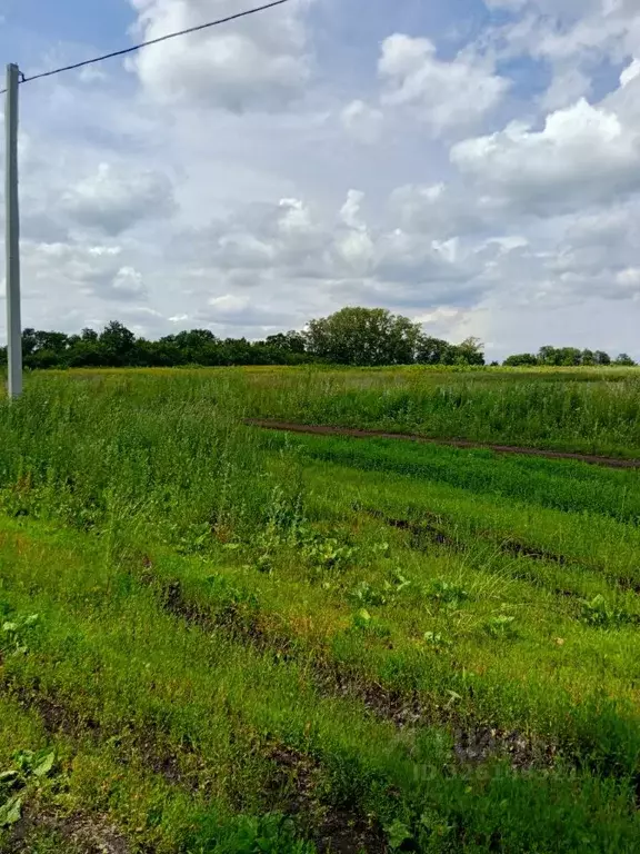 Участок в Башкортостан, Стерлитамакский район, Отрадовский сельсовет, ... - Фото 1