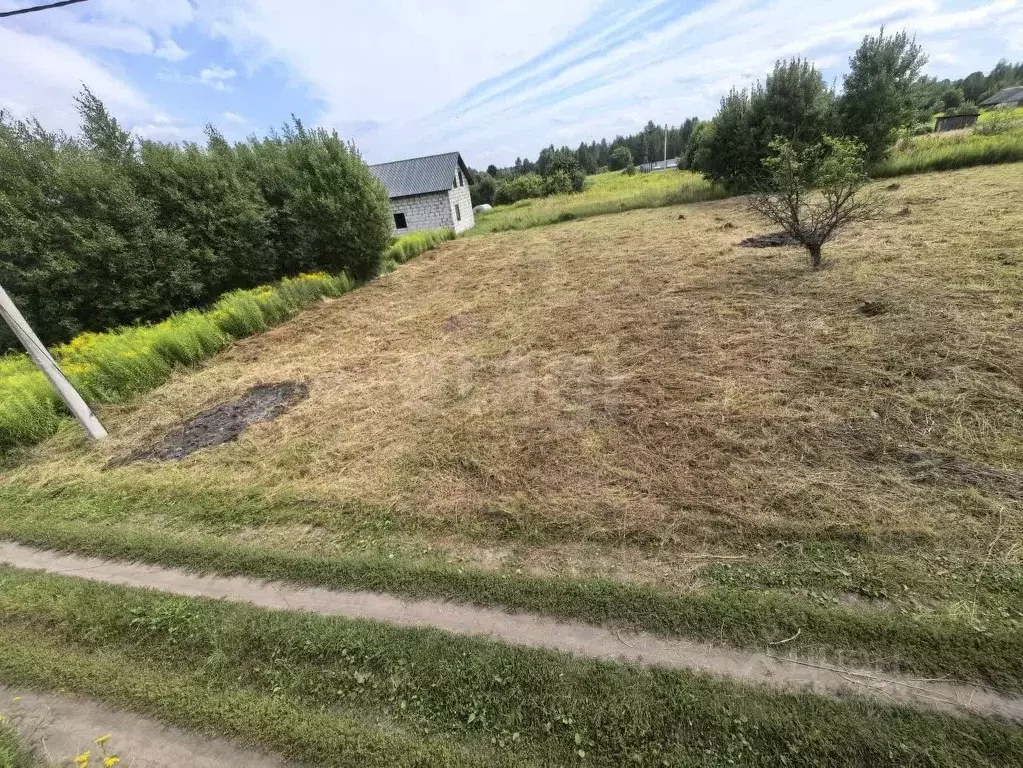 Участок в Брянская область, Брянский район, Добрунское с/пос, с. ... - Фото 1