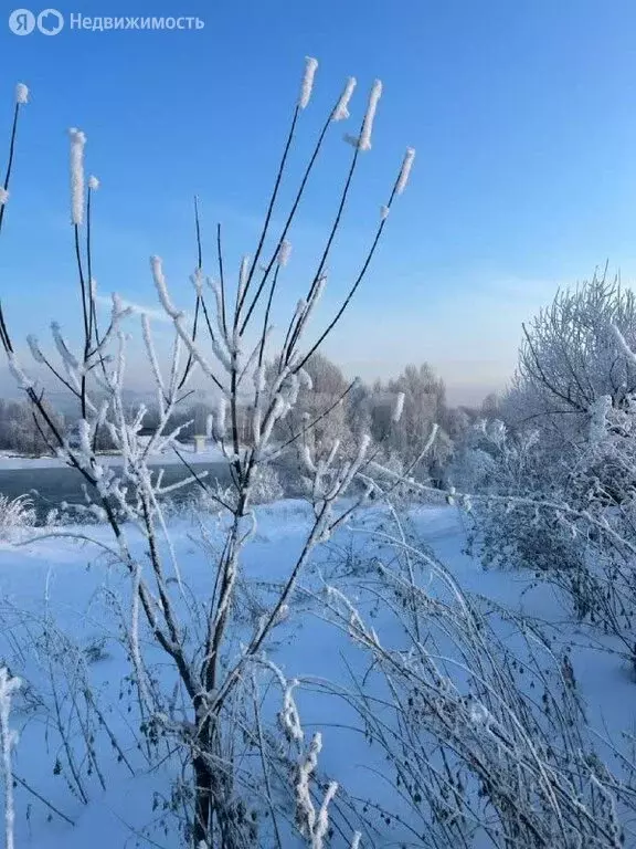 Участок в Советский район, село Платово (10 м) - Фото 2