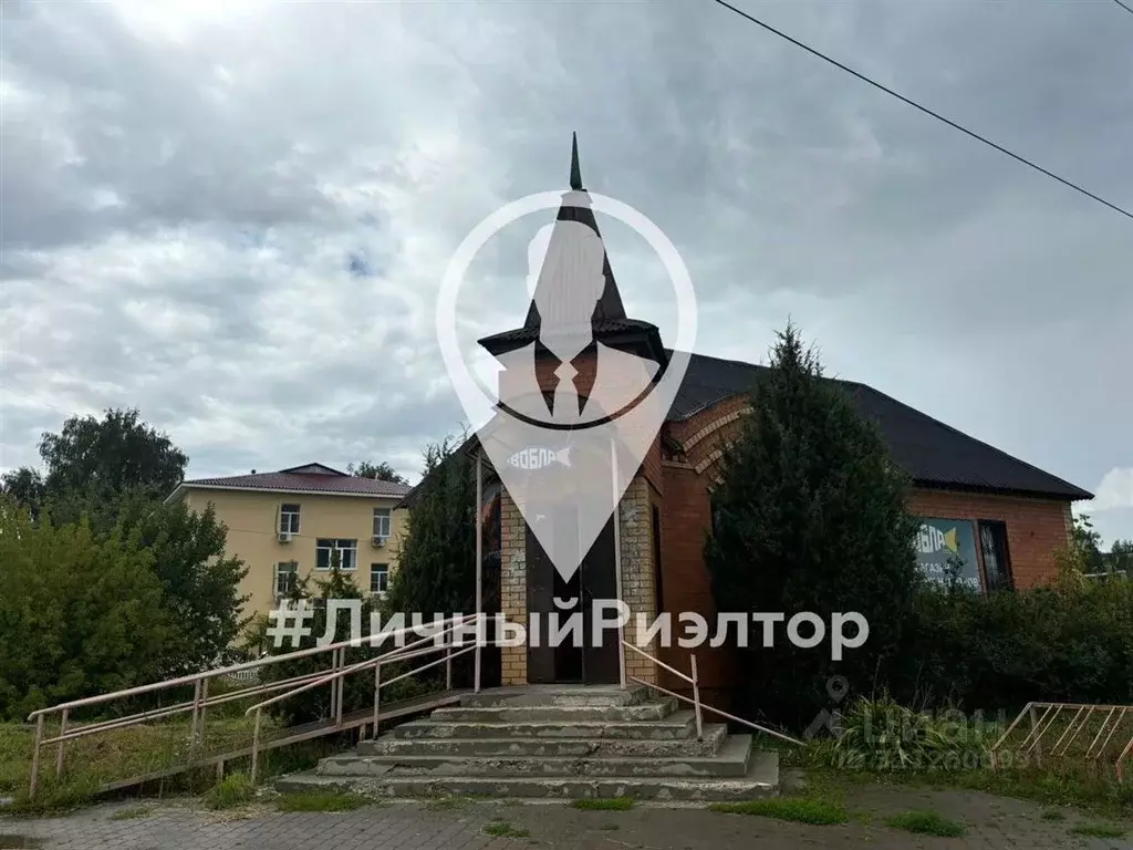 Торговая площадь в Рязанская область, Рыбное Рябиновая ул., 12 (72 м) - Фото 0