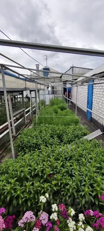 Дом в Карачаево-Черкесия, Черкесск ул. Щорса, 90 (60 м) - Фото 1