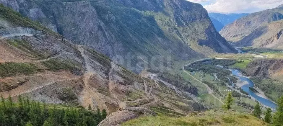 Участок в Алтай, Улаганский район, с. Балыктуюль Центральная ул. ... - Фото 1