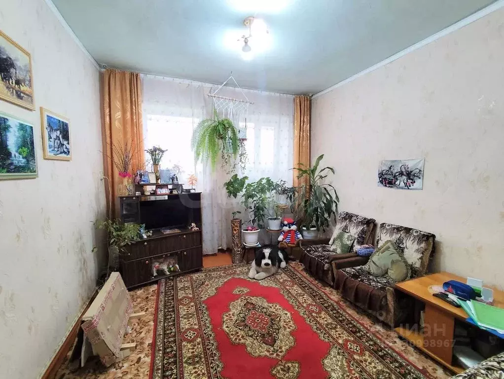 3-к кв. Курганская область, Варгаши рп ул. Кирова, 95 (53.4 м) - Фото 1