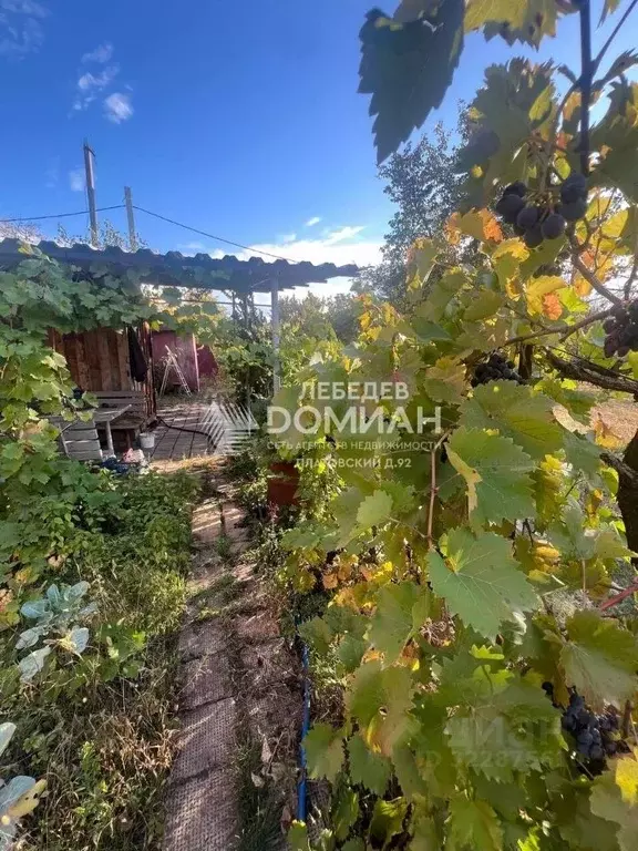 Участок в Ростовская область, Новочеркасск Санаторная ул. (15.0 сот.) - Фото 1