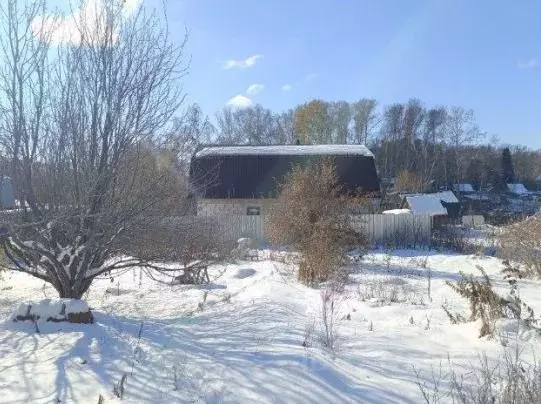 Участок в Новосибирская область, Новосибирский район, Станционный ... - Фото 1