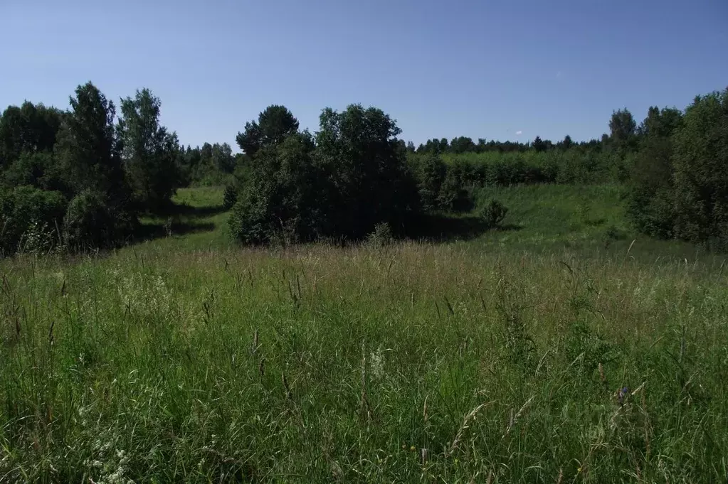 Участок в Тверская область, Торжокский район, д. Рюмино  (8.7 сот.) - Фото 0
