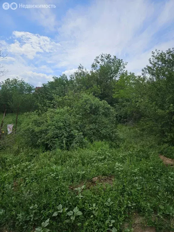 Участок в Новочеркасск, Троицкая улица, 107 (6 м) - Фото 1
