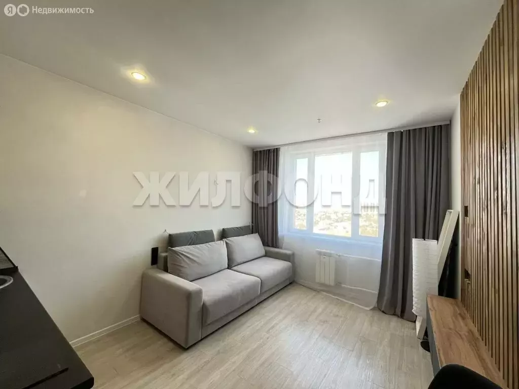 Квартира-студия: Новосибирск, улица Кирова, 113/2 (20.2 м) - Фото 1