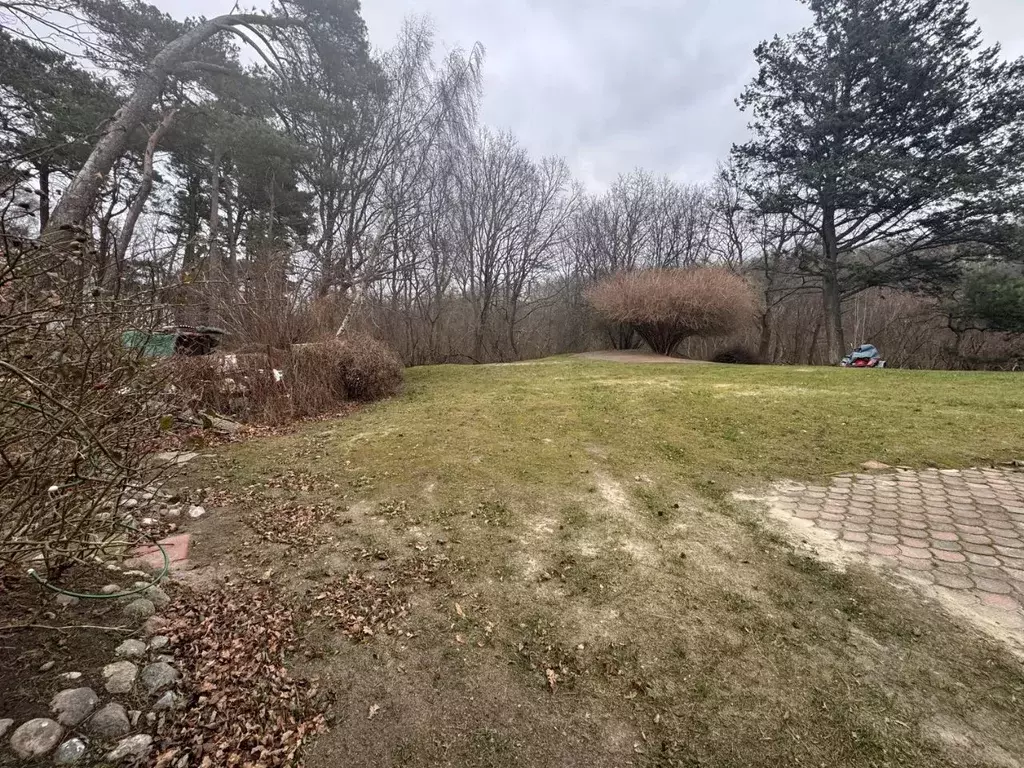 Участок в Калининградская область, Светлогорск Балтийская ул., 25А ... - Фото 2