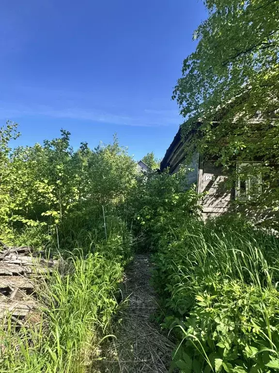 Участок в Архангельская область, Архангельск Экономия мкр, ул. ... - Фото 1