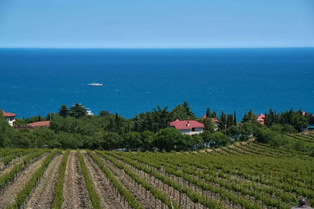 Дом в Крым, Ялта муниципальный округ, Ливадия пгт ул. Виноградная, 15А ... - Фото 1