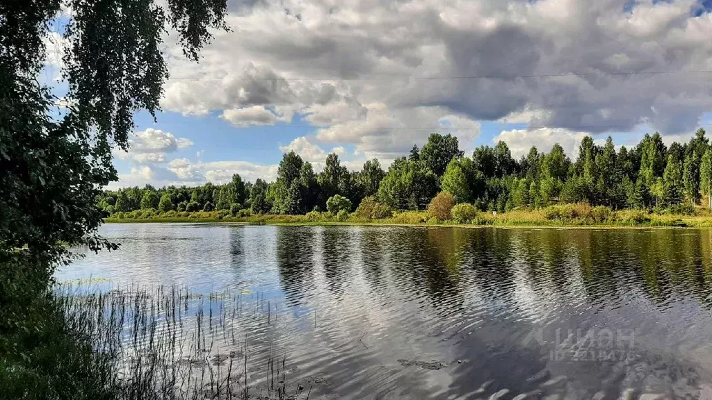 Дом в Псковская область, Печорский муниципальный округ, д. Ротово  (85 ... - Фото 1