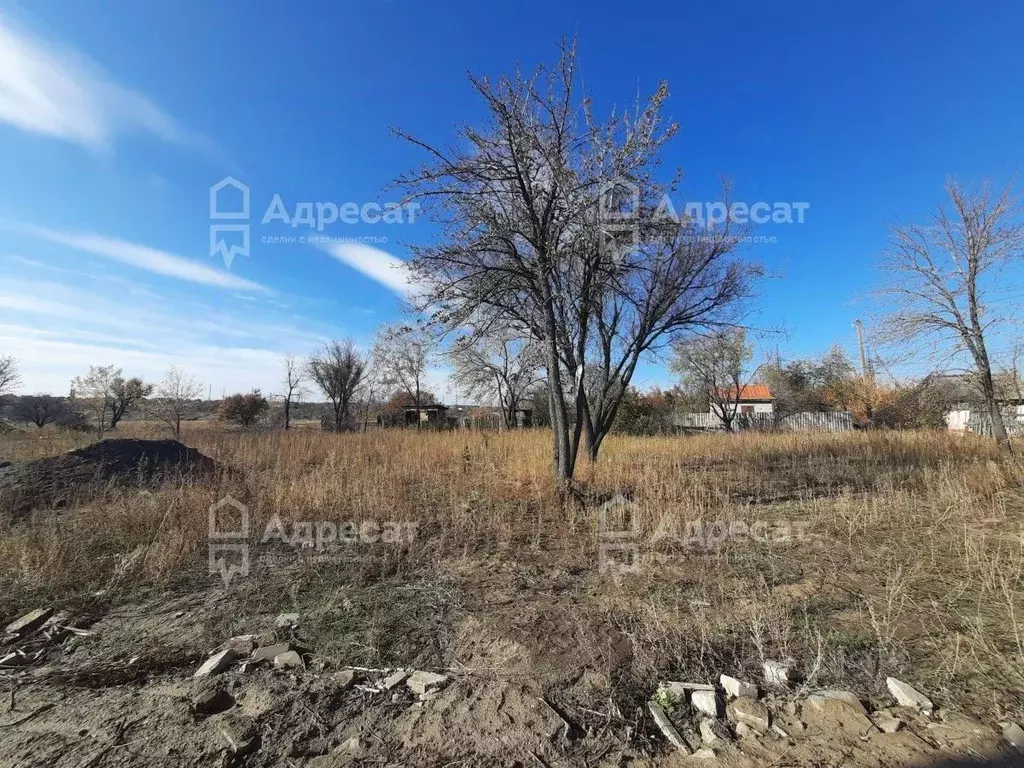 Участок в Волгоградская область, Волгоград Дзержинец СНТ, ... - Фото 2
