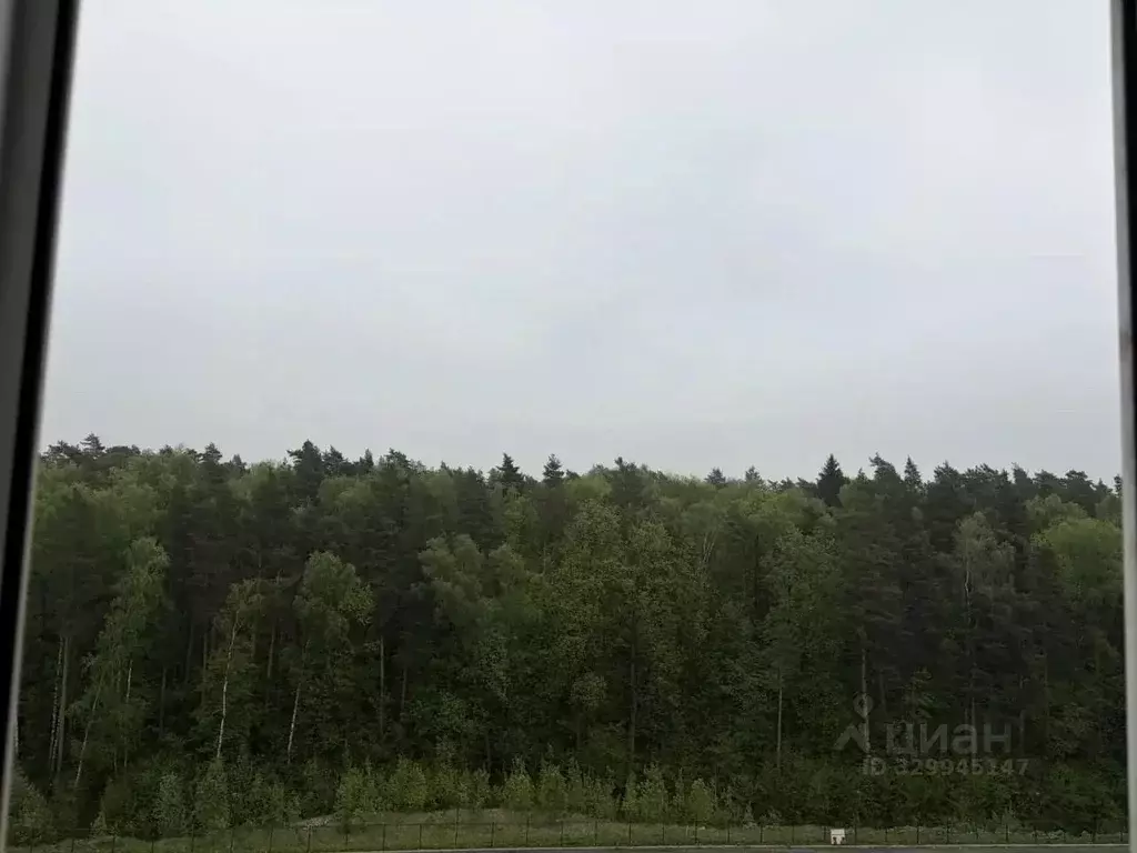 1-к кв. Московская область, Ленинский городской округ, Боброво пгт ул. ... - Фото 2