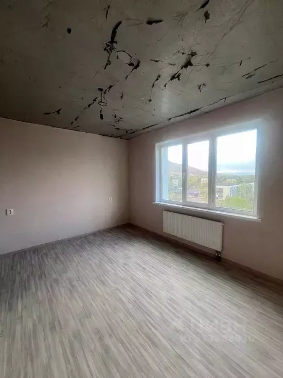2-к кв. Камчатский край, Елизово ул. Рябикова, 49А (44.2 м) - Фото 1