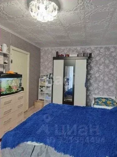 3-к кв. Курганская область, Шадринск ул. Архангельского, 44 (59.0 м) - Фото 1