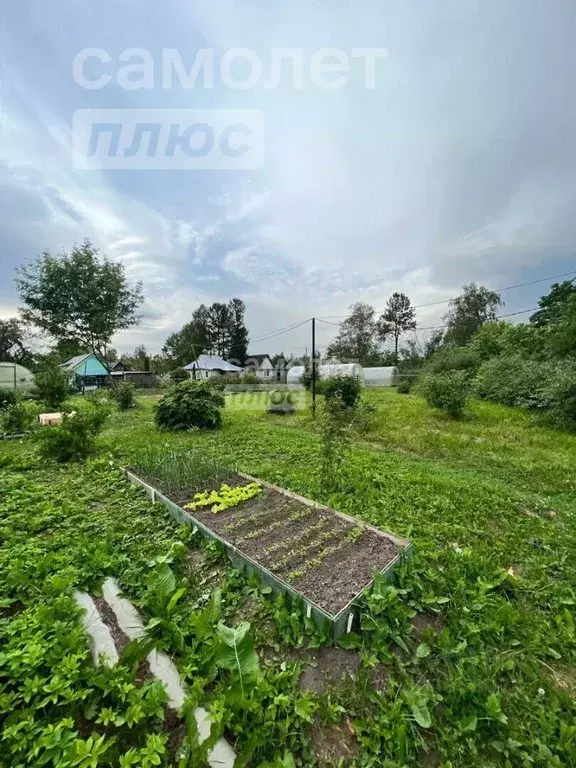 Участок в Ленинградская область, Тосненский район, Рябовское городское ... - Фото 1