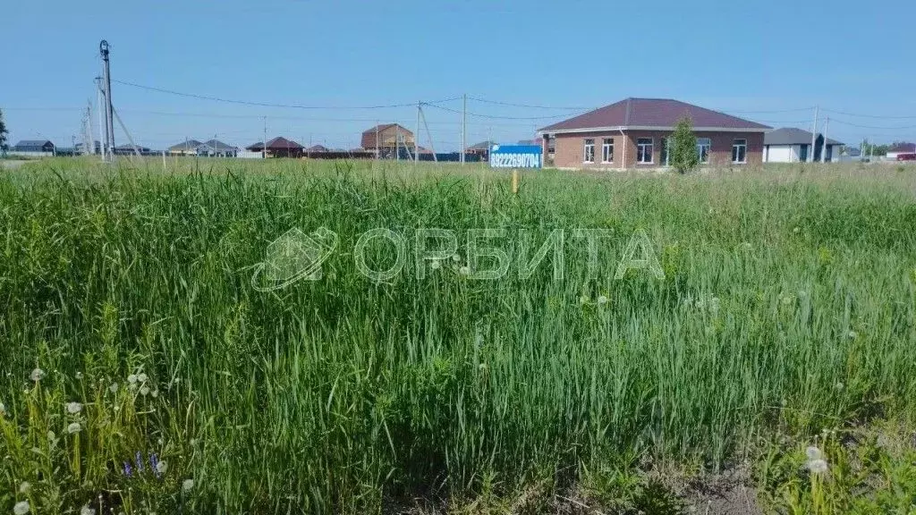 Участок в Тюменская область, Тюменский муниципальный округ, с. Чикча  ... - Фото 1