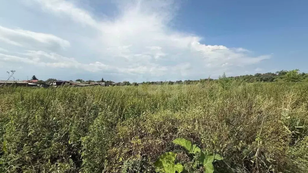 Участок в Башкортостан, Бирский район, Кусекеевский сельсовет, д. ... - Фото 2