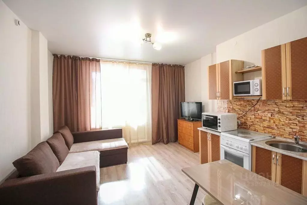 Студия Алтайский край, Барнаул Балтийская ул., 93 (26.0 м) - Фото 1