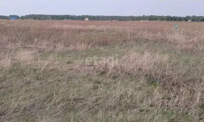 Участок в Свердловская область, Екатеринбург муниципальное ... - Фото 0