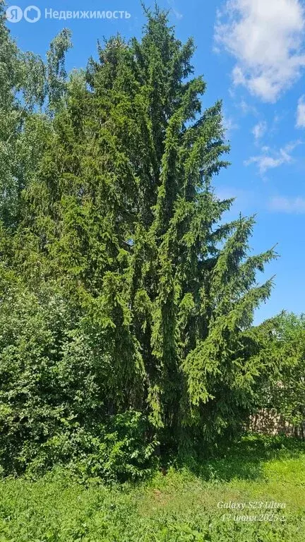 Дом в село Знаменское, улица Федюнина, 50 (59.2 м) - Фото 0