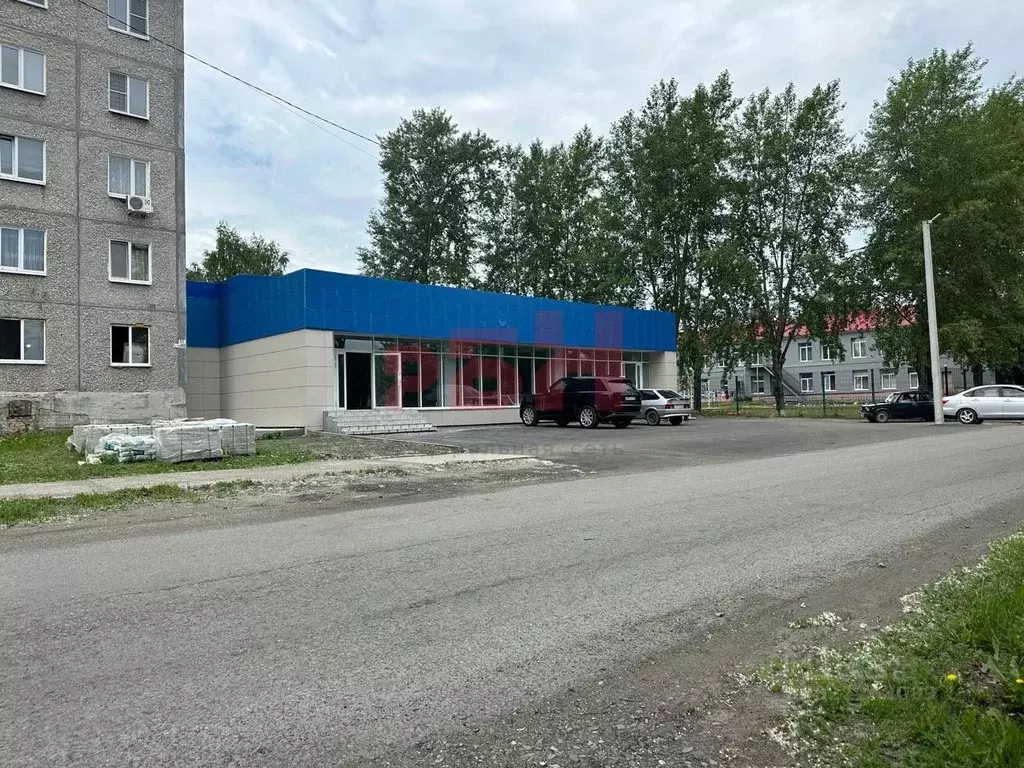 Помещение свободного назначения в Свердловская область, Туринск ул. ... - Фото 1