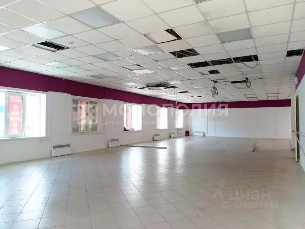 Торговая площадь в Амурская область, Белогорск ул. Скорикова, 17Г (280 ... - Фото 2