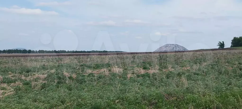 Участок 8 сот. (ИЖС) - Фото 0