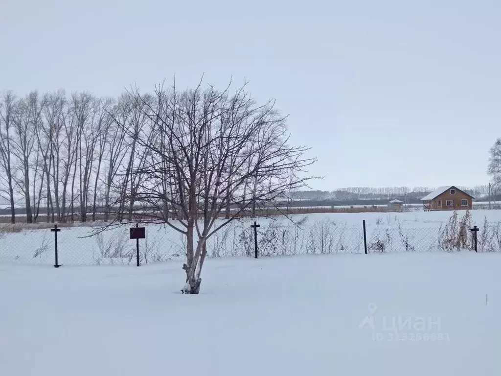 Участок в Башкортостан, Стерлитамакский район, Айгулевский сельсовет, ... - Фото 0