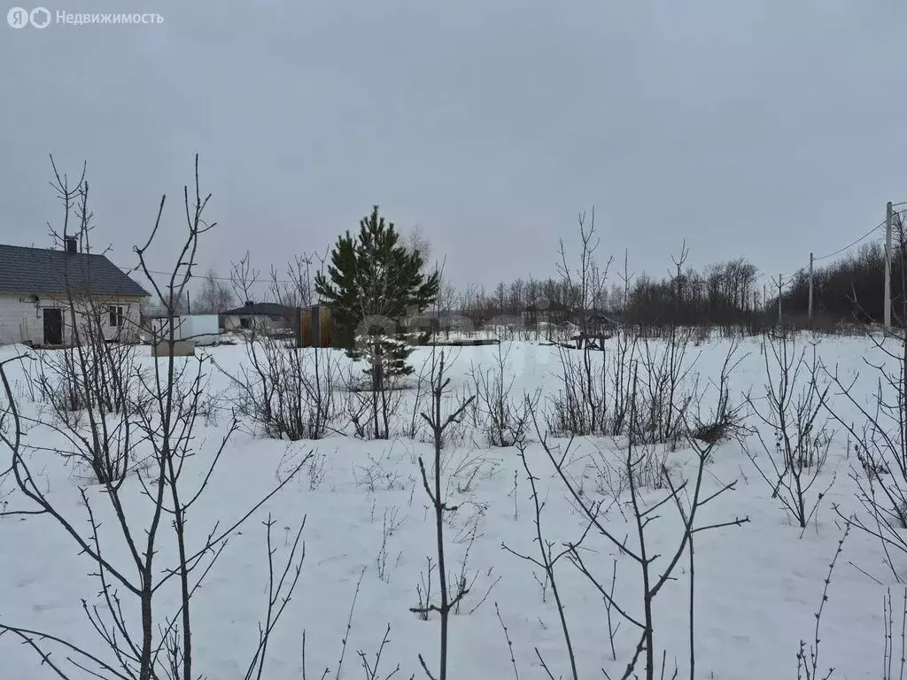 Участок в Борисоглебск, Придорожная улица (6.43 м) - Фото 1